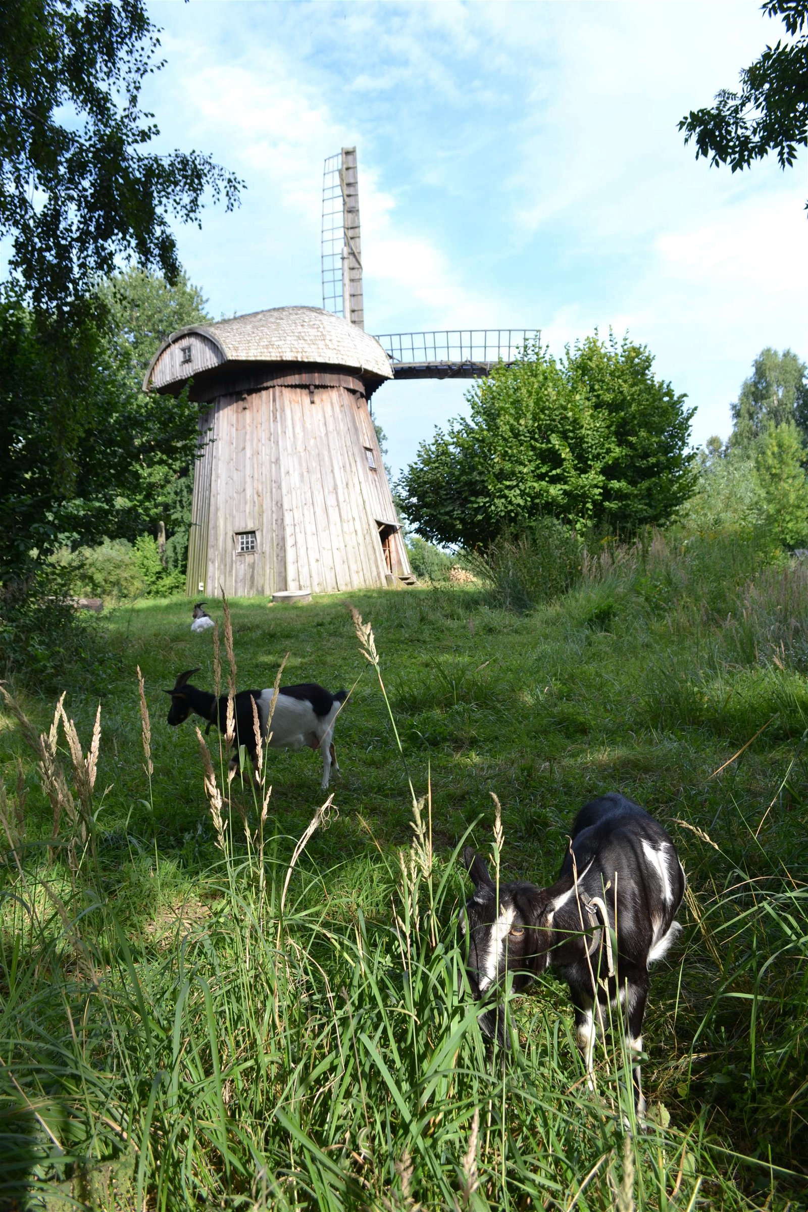 The Open Air Village Museum in Lublin