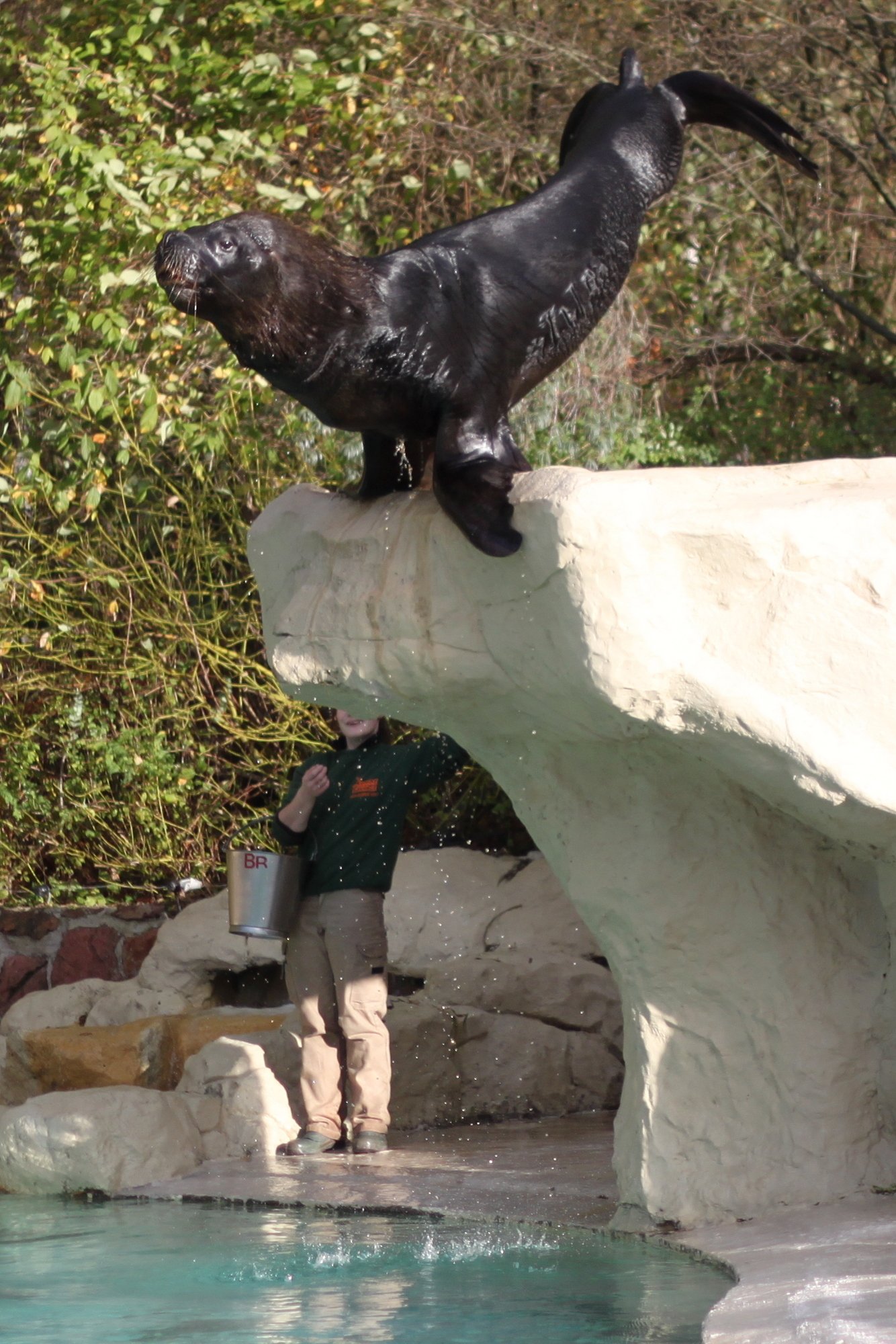 Monde Sauvage Safari Parc