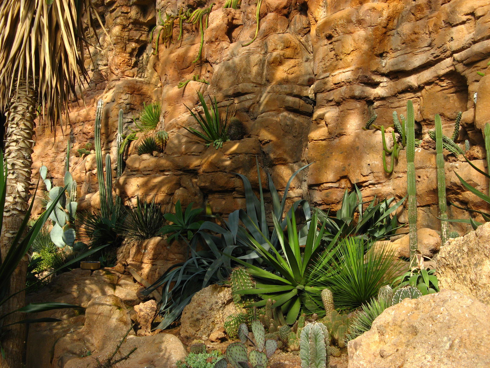 Schönbrunn Desert House