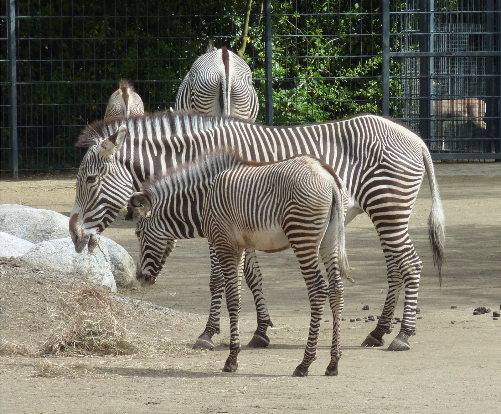 Wilhelma Zoologisch-Botanischer Garten