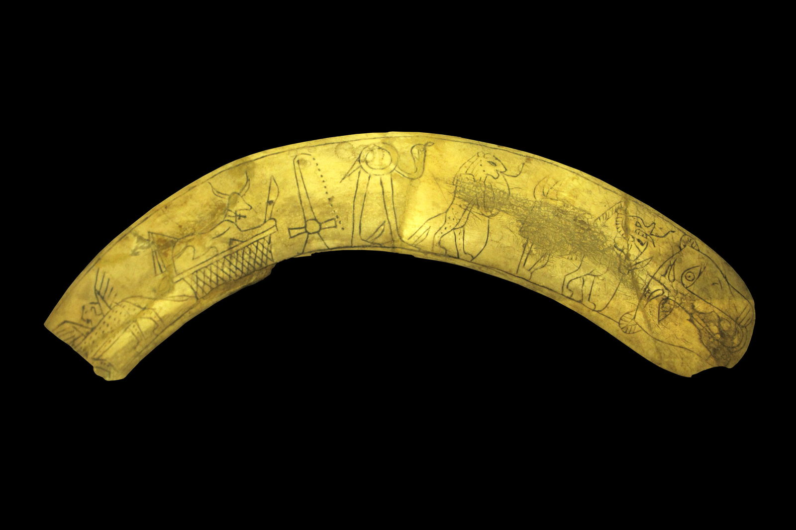 Musée d'archéologie méditerranéenne