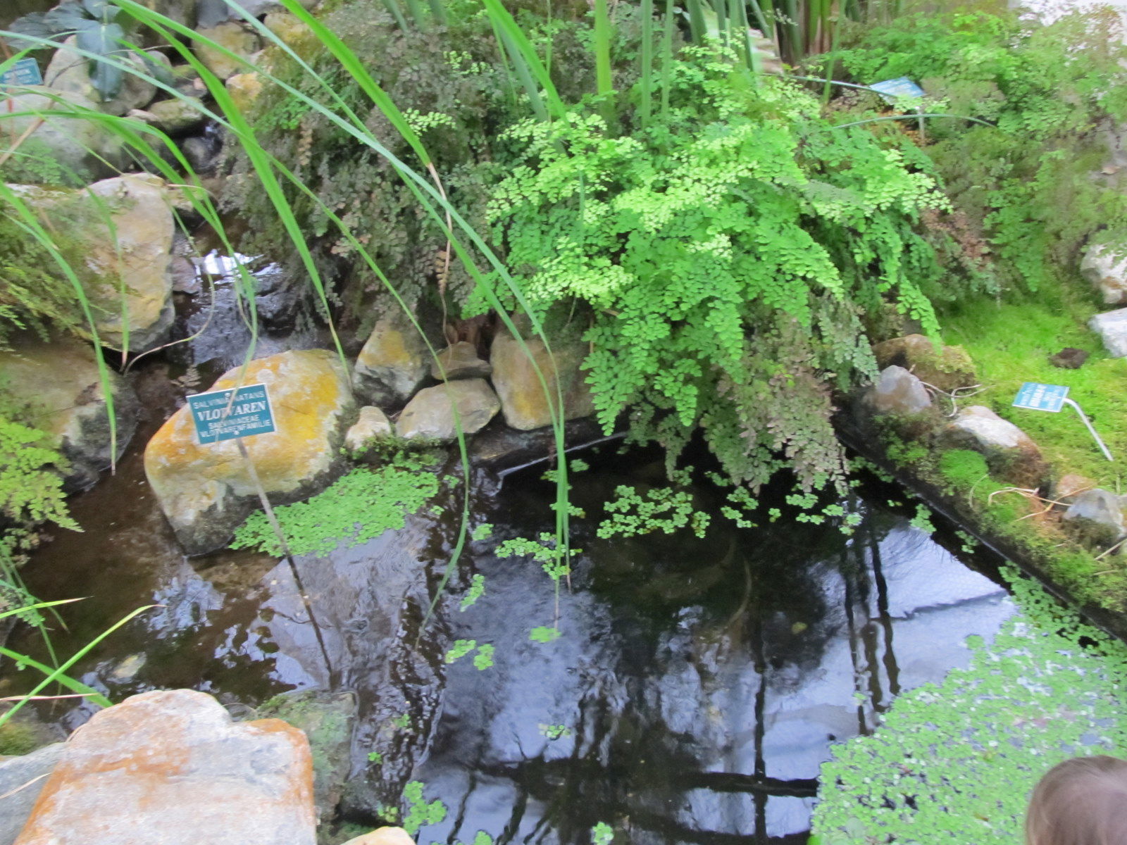 De wereld van Kina: de Tuin