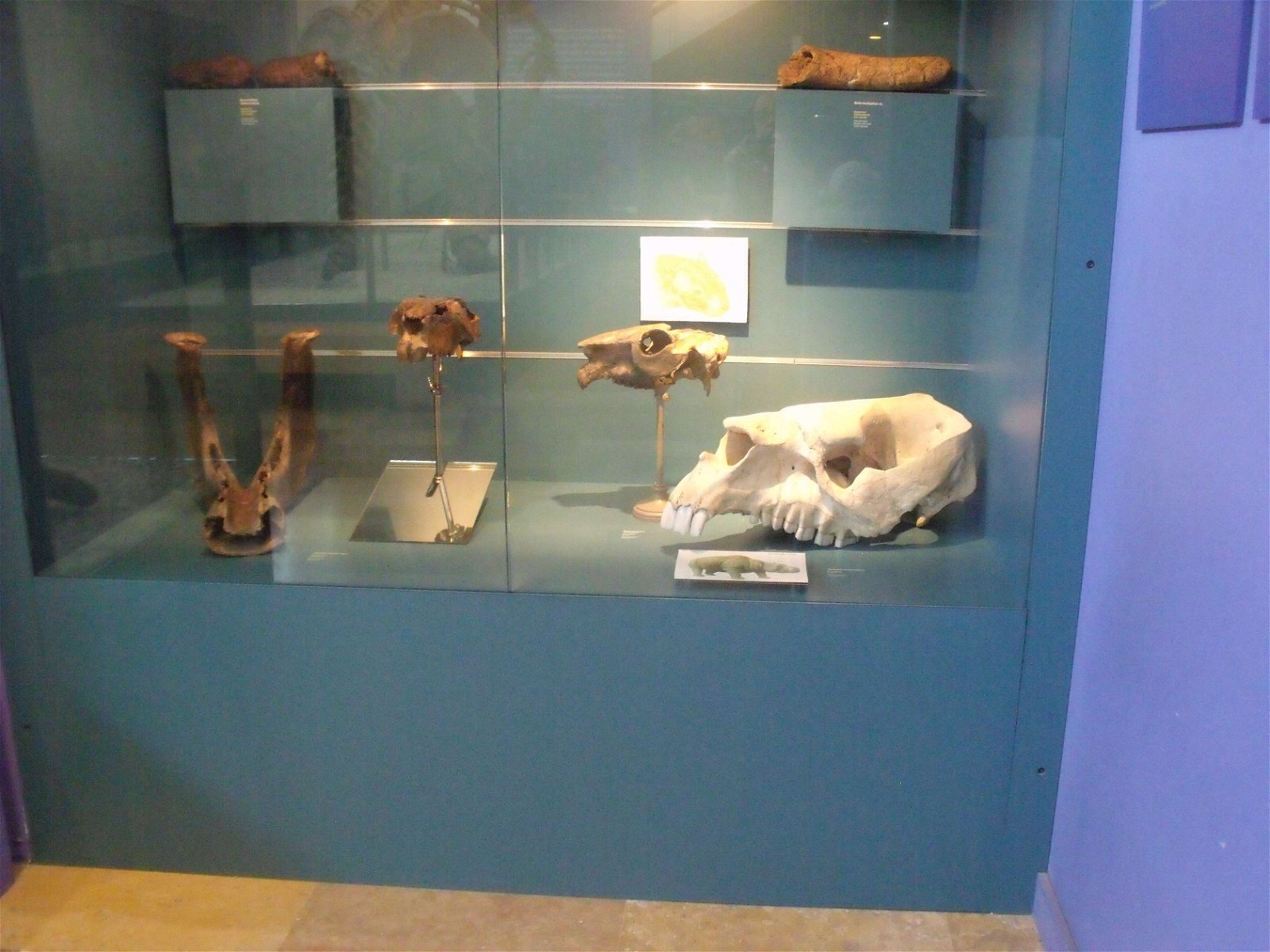 Museo de Ciencias Naturales