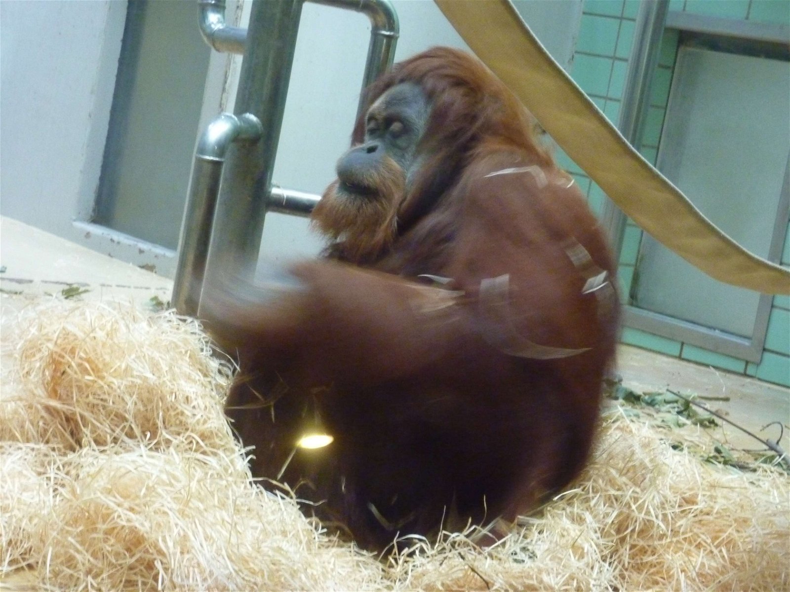 Wilhelma Zoo and Botanical Garden