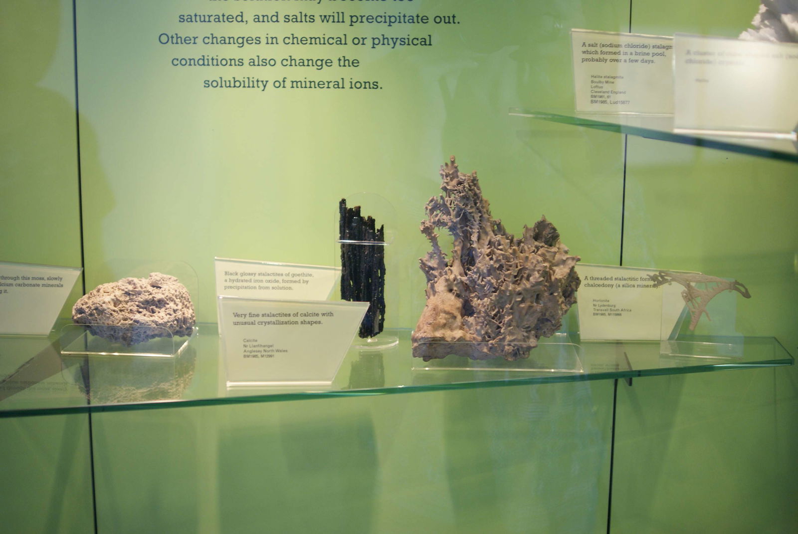 Natural History Museum