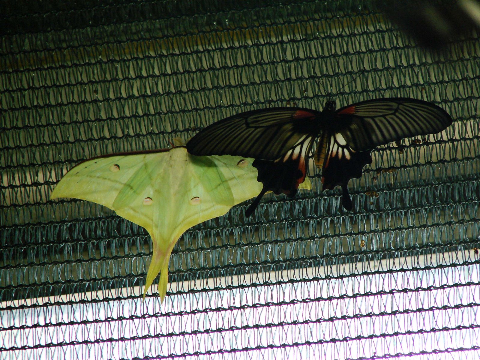 Wroclaw Zoo & Africarium