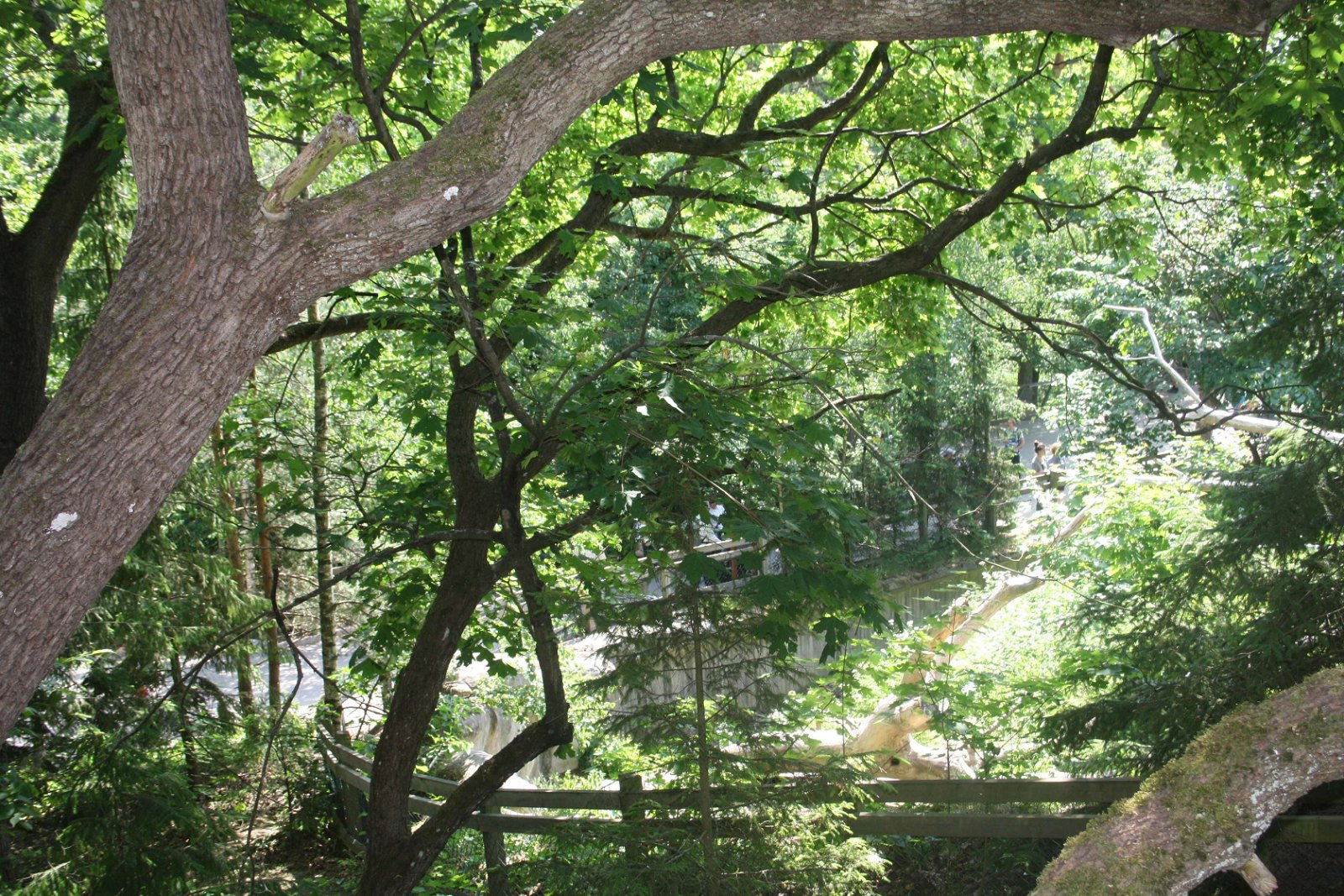 Skansen Open-Air Museum