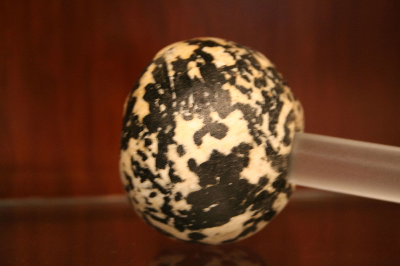 Ägyptisches Museum der Universität Leipzig