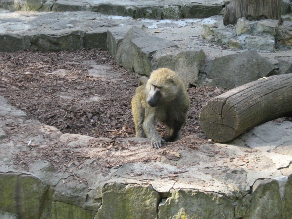 Lodz Zoo