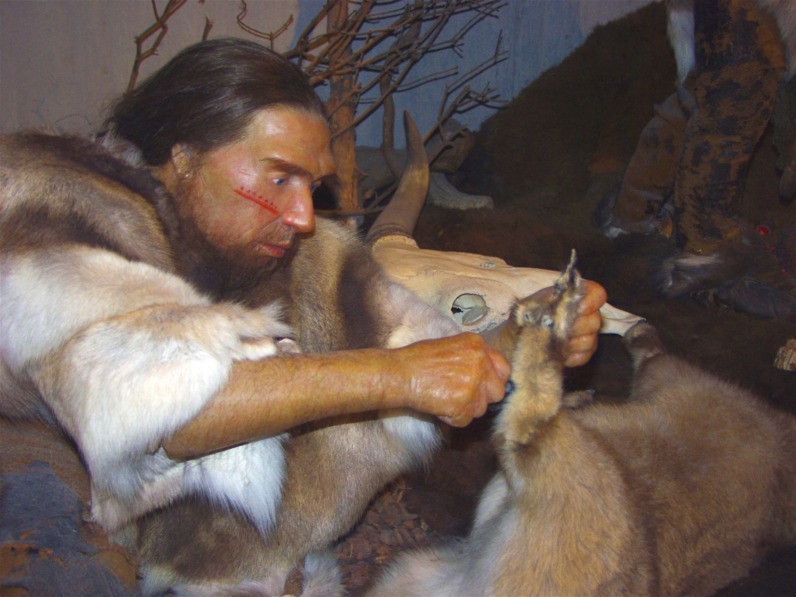 Neanderthal Museum