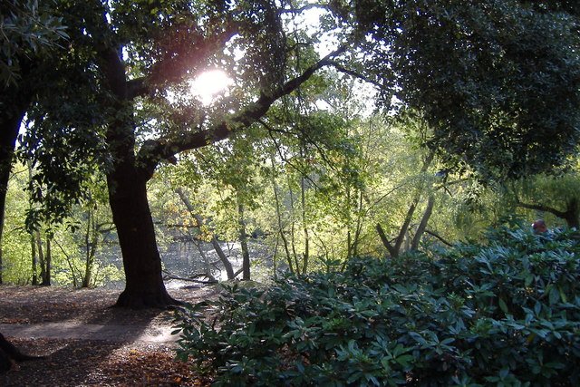 Valentines Mansion and Gardens