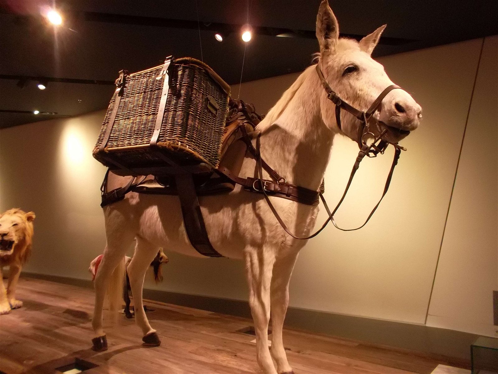 Militärhistorisches Museum der Bundeswehr Dresden