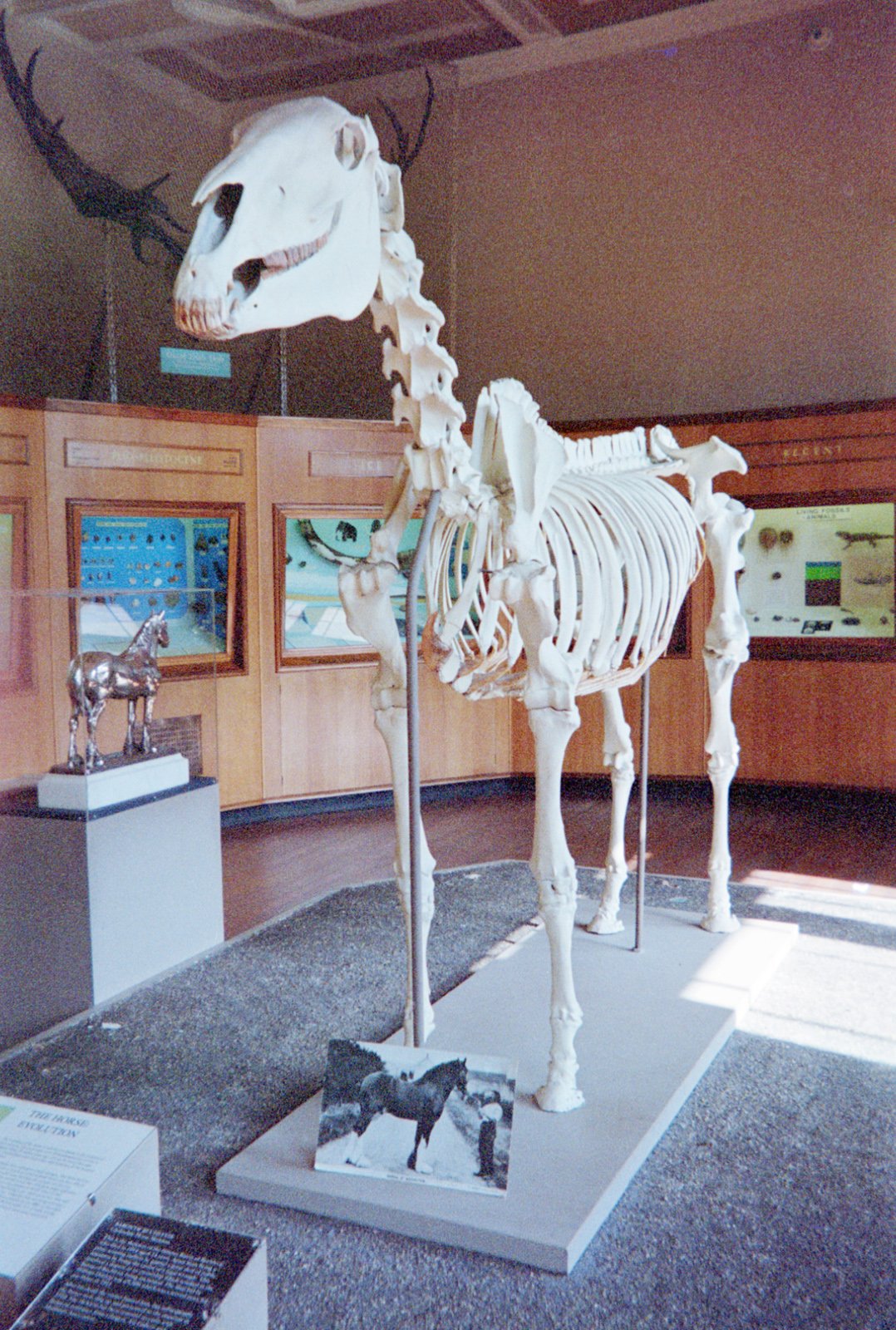 Kelvingrove Art Gallery and Museum