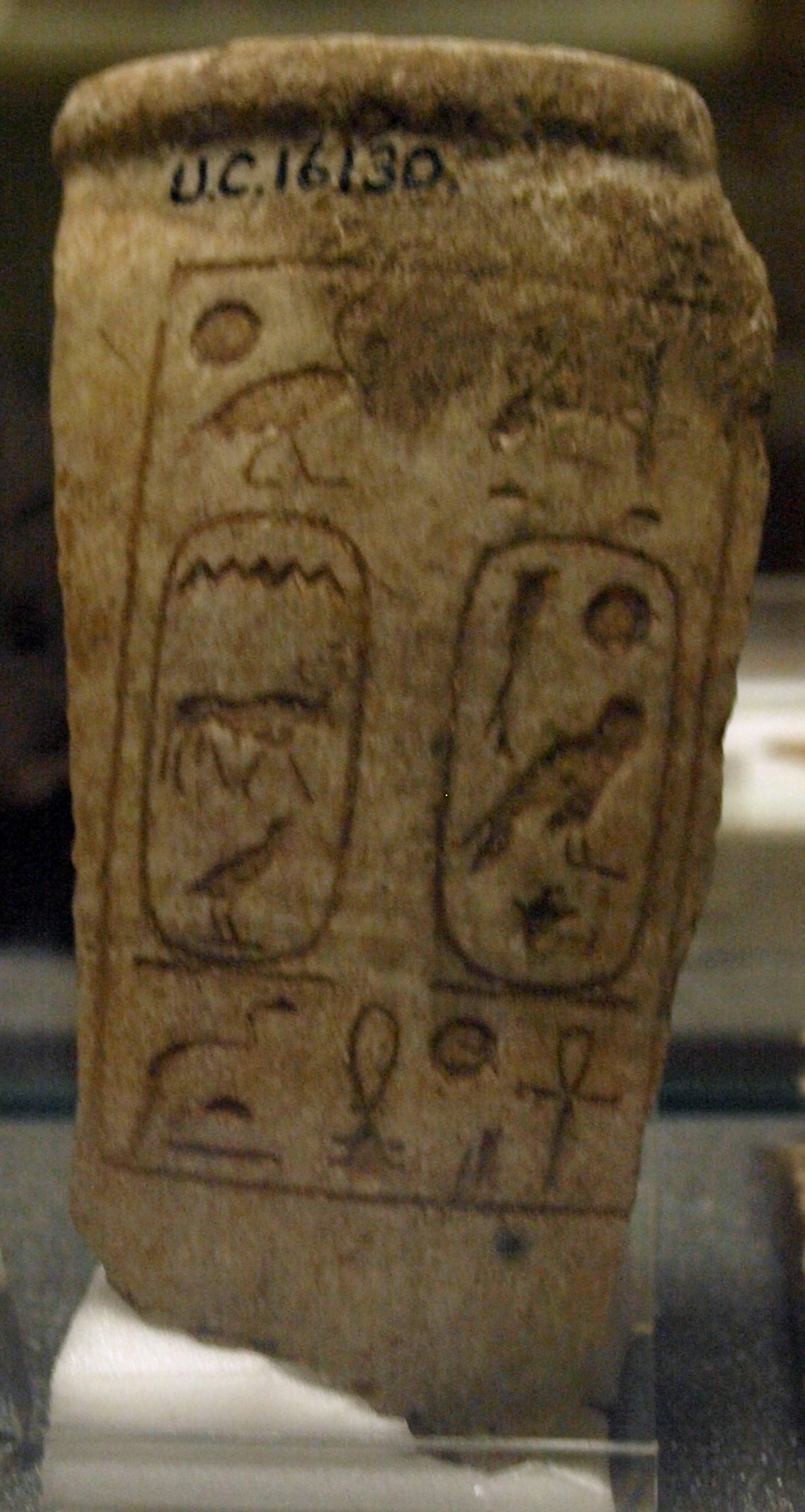 Petrie Museum of Egyptian Archaeology