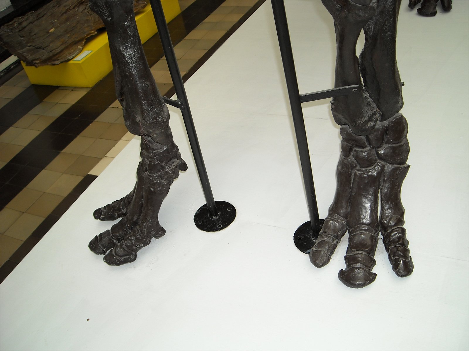 Geological Museum of the Polish Geological Institute