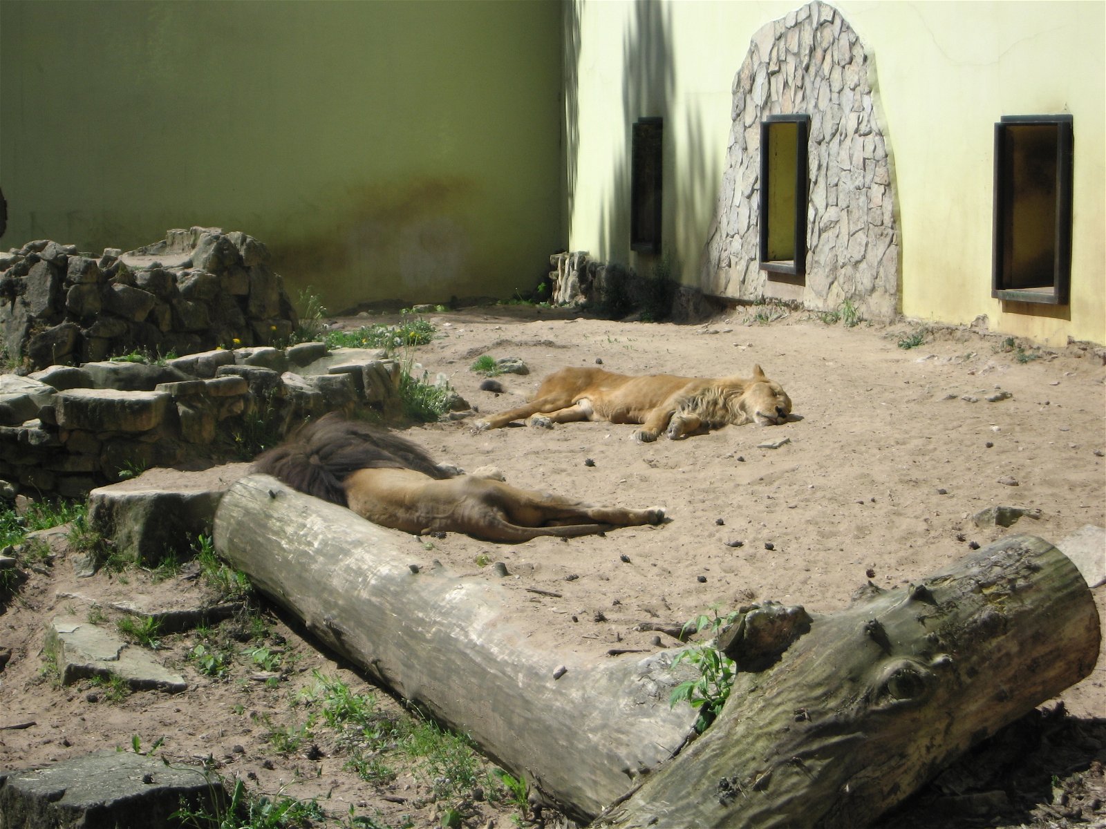 Riga Zoo