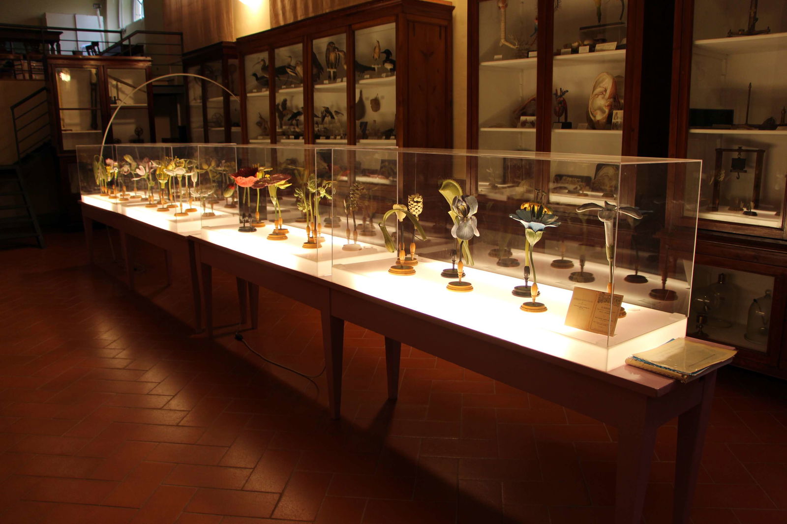 Villa del Poggio Imperiale