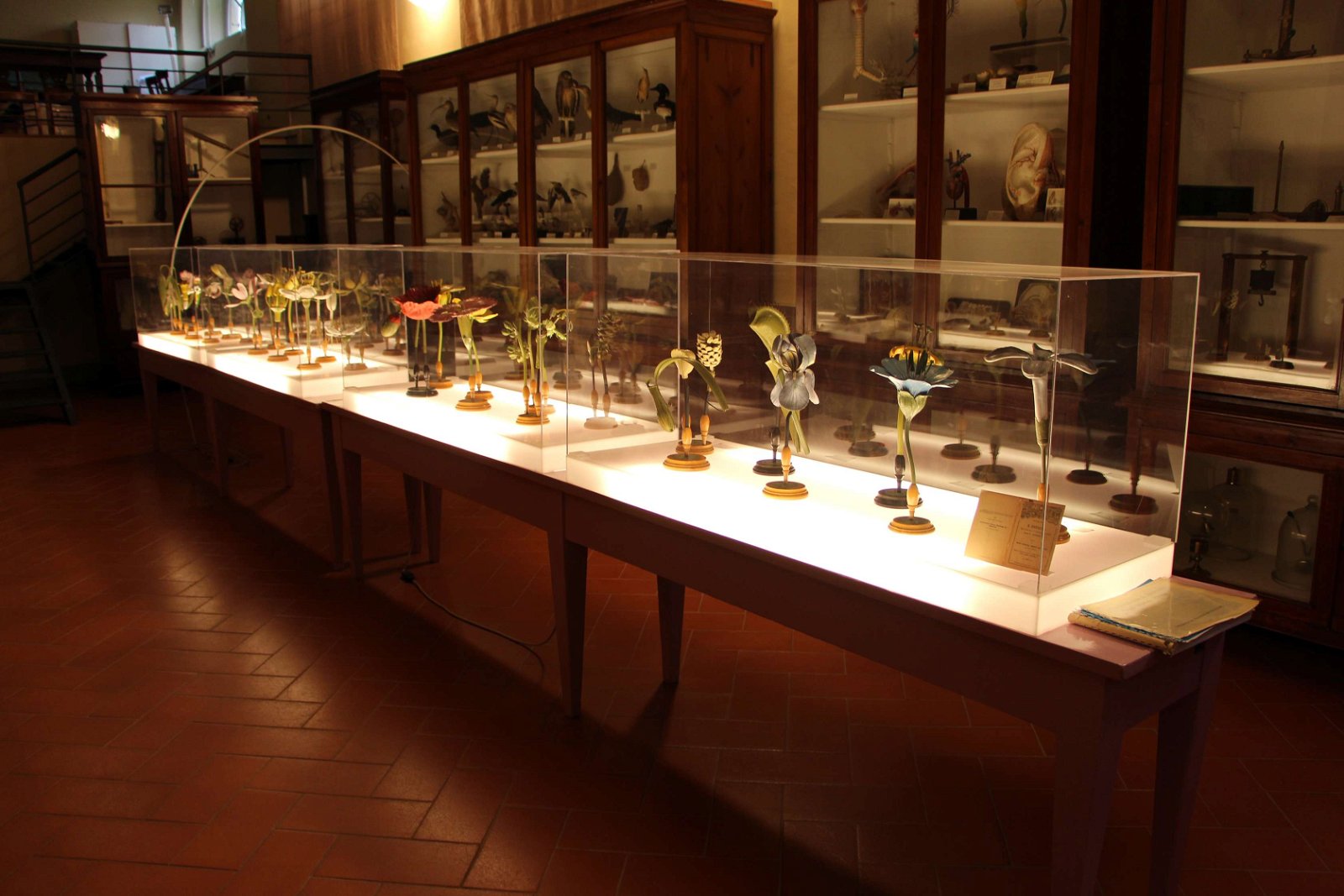 Villa del Poggio Imperiale