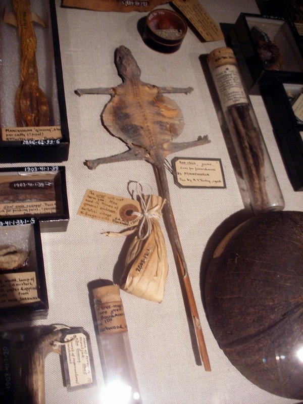 Pitt Rivers Museum
