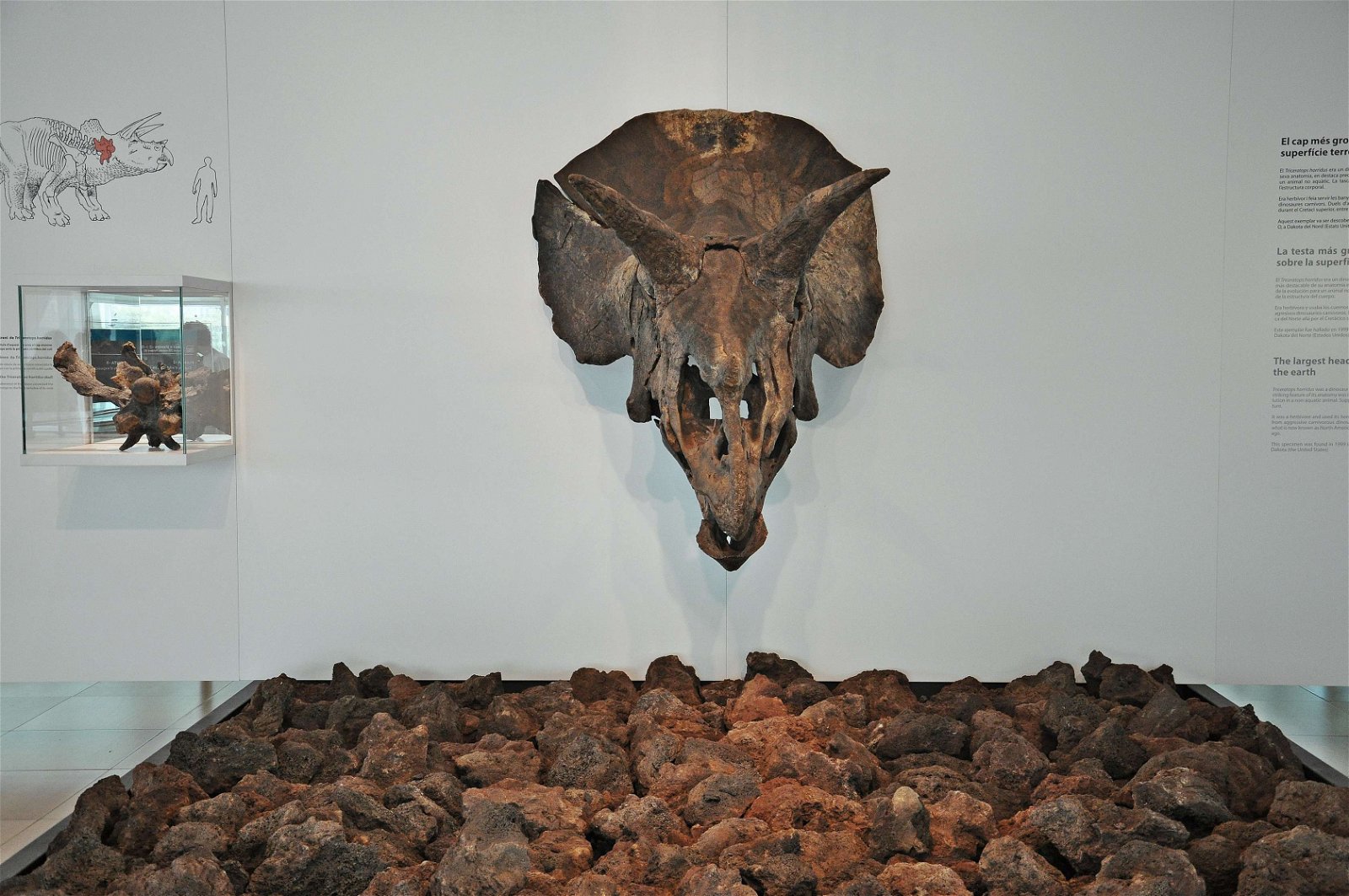 CosmoCaixa Barcelona