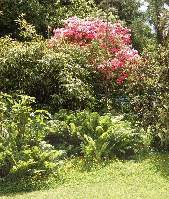 Belsay Hall, Castle and Gardens