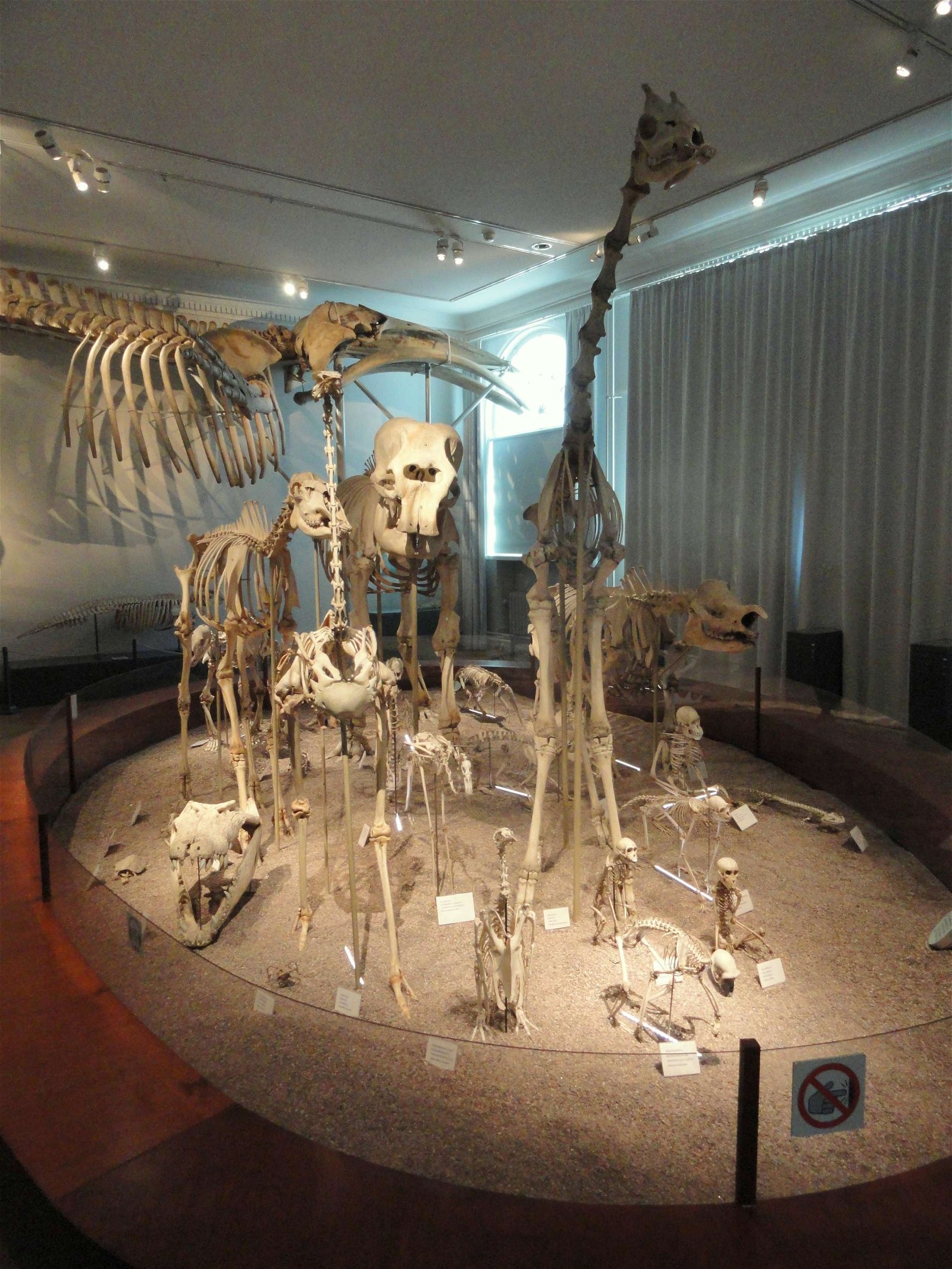 Finnish Museum of Natural History