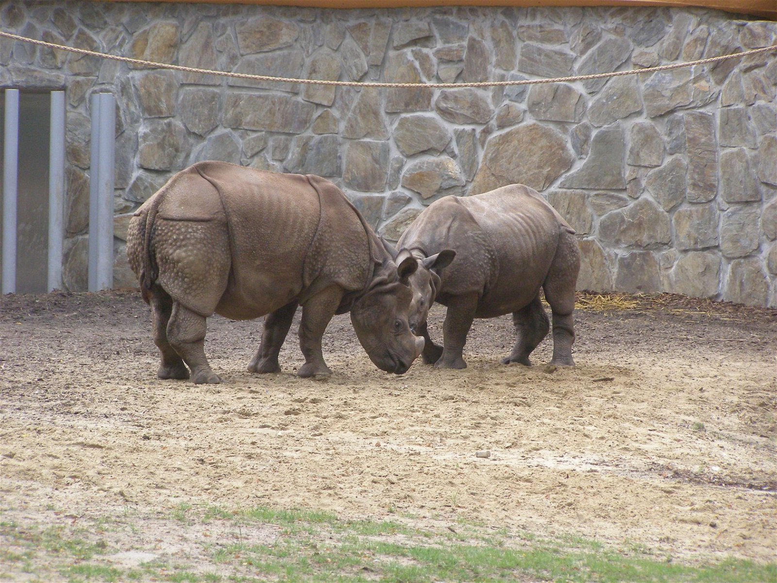Wroclaw Zoo & Africarium