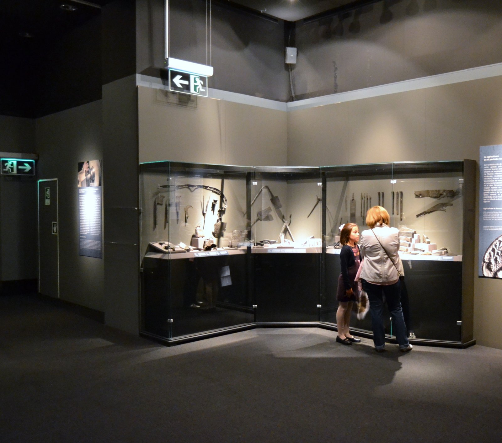 Museo Arqueológico Provincial de Alicante