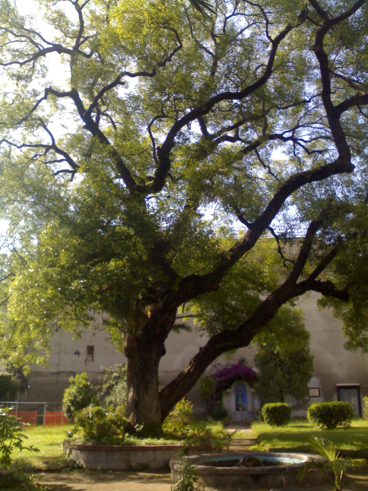 Farmacia Storica degli Incurabili