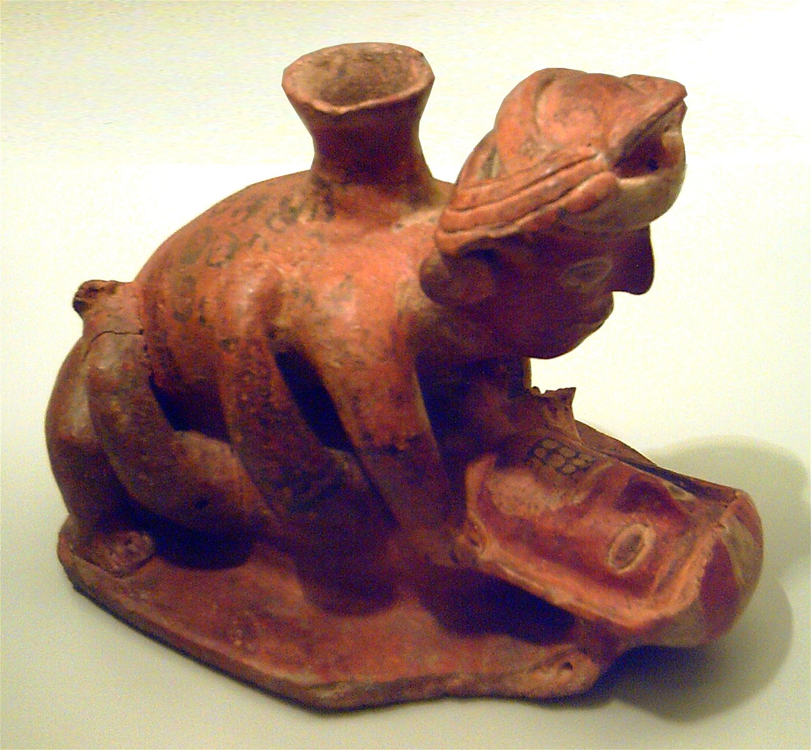 Museum of the Americas