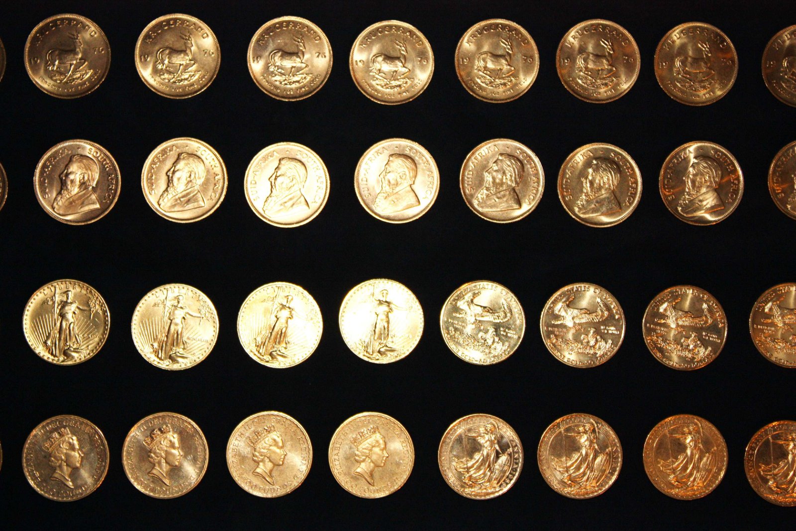 National History Museum