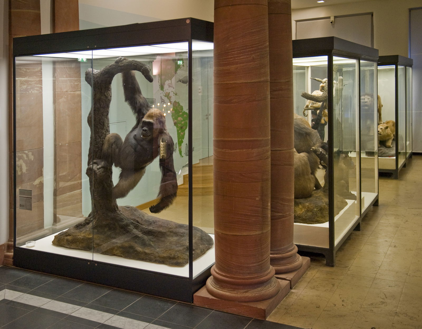 Naturmuseum Senckenberg
