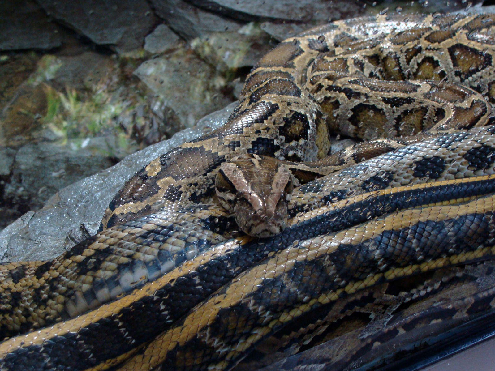Zoologischer Garten Berlin