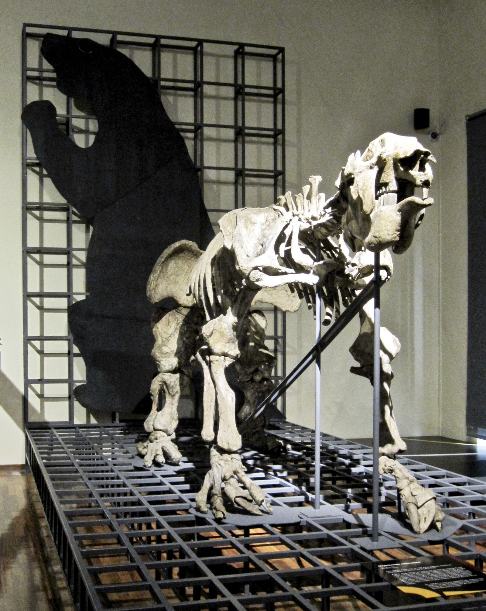 Museo Nacional de Ciencias Naturales