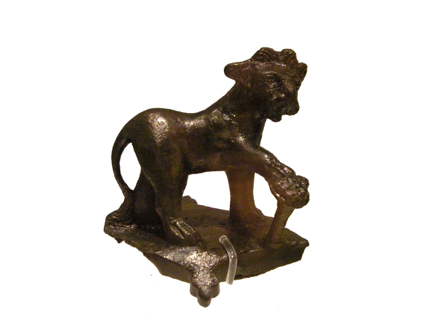 Roman Museum at the Hoher Markt