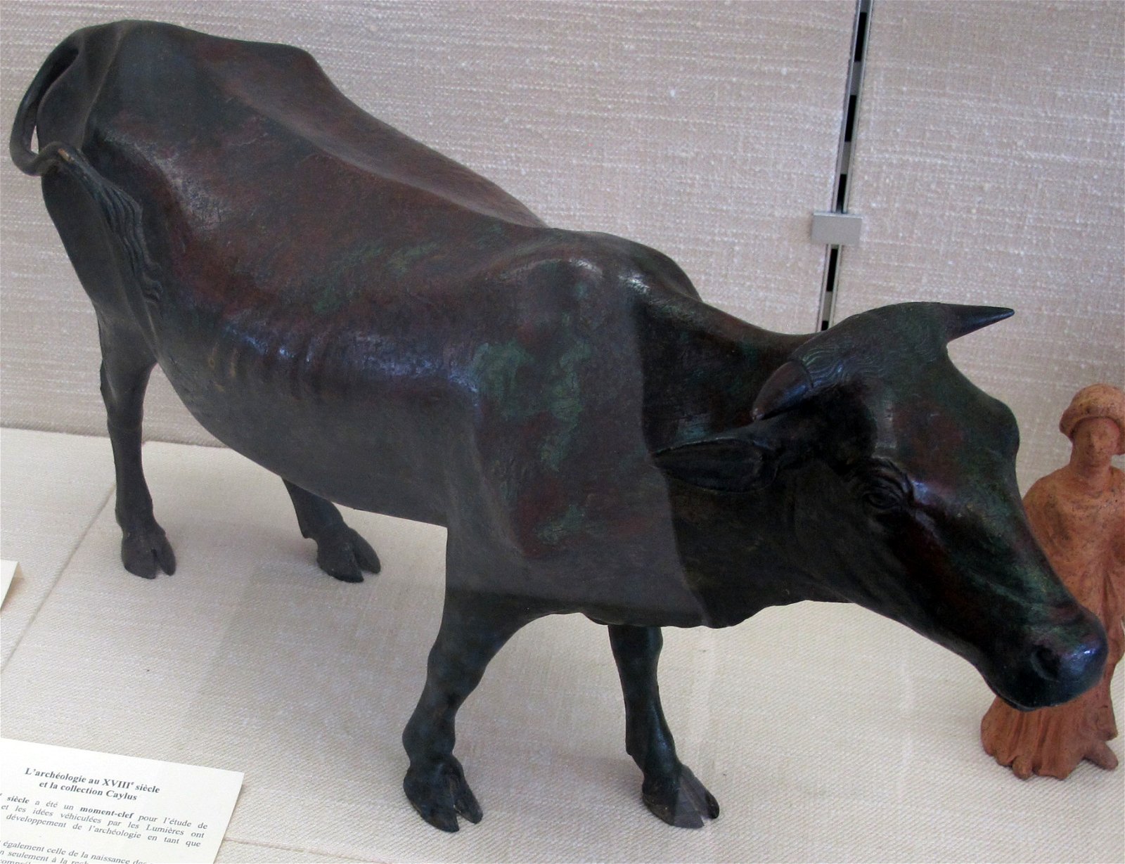 Cabinet of Coins, Medals and Antiquities