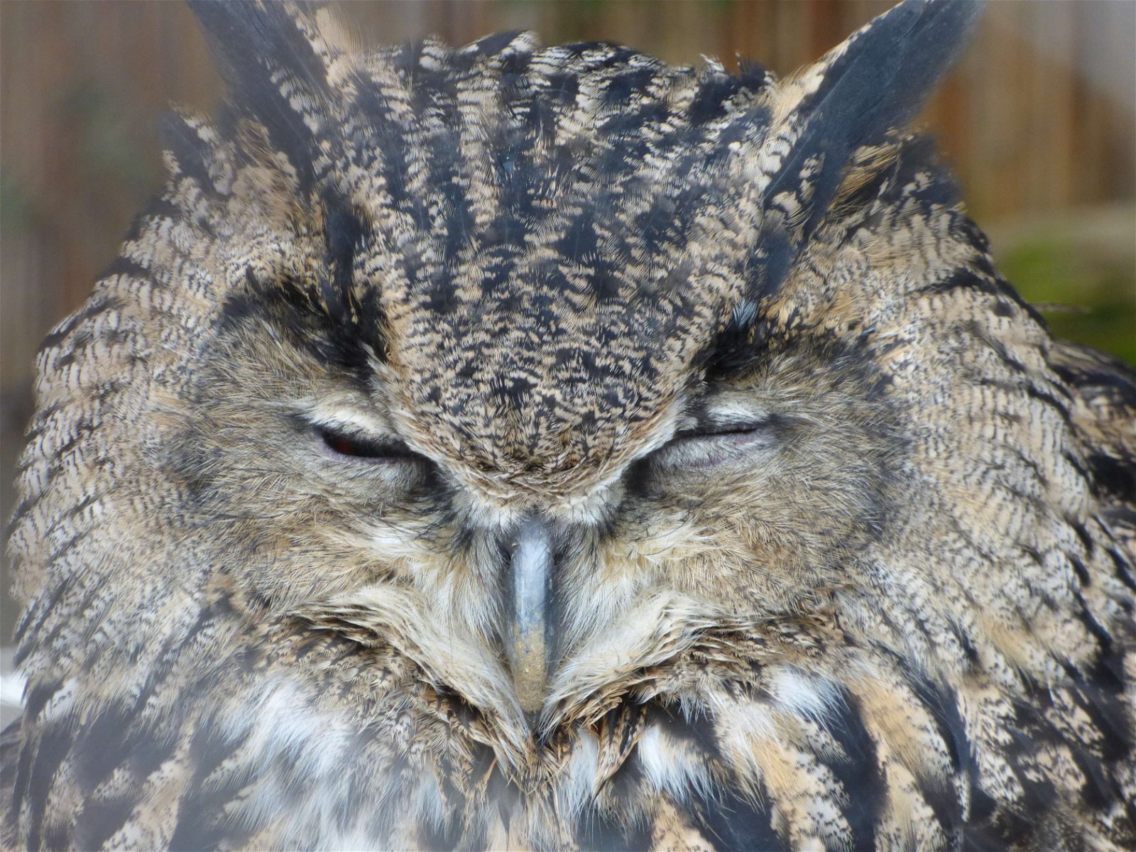 Budakeszi Wildlife Park