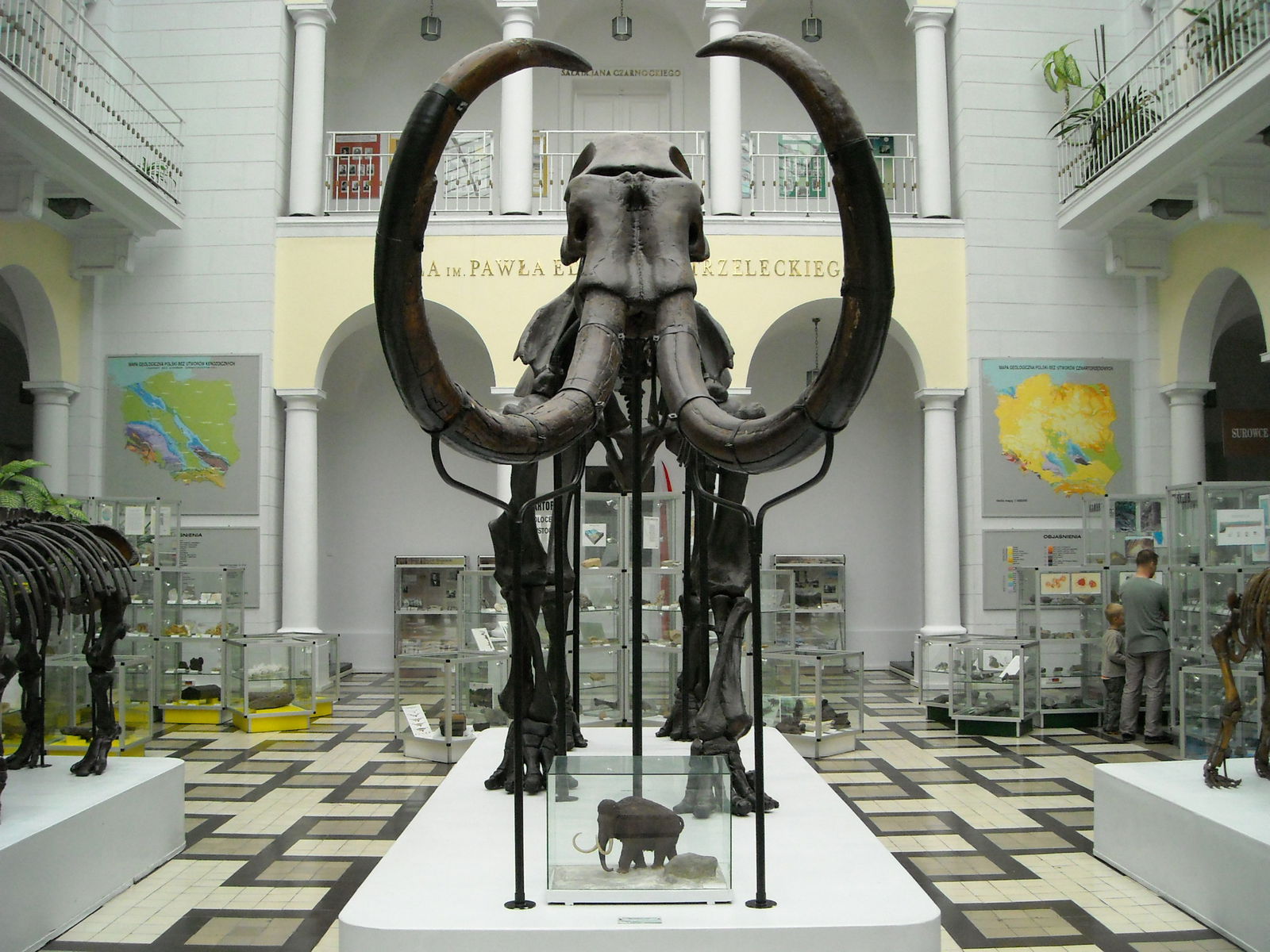 Geological Museum of the Polish Geological Institute