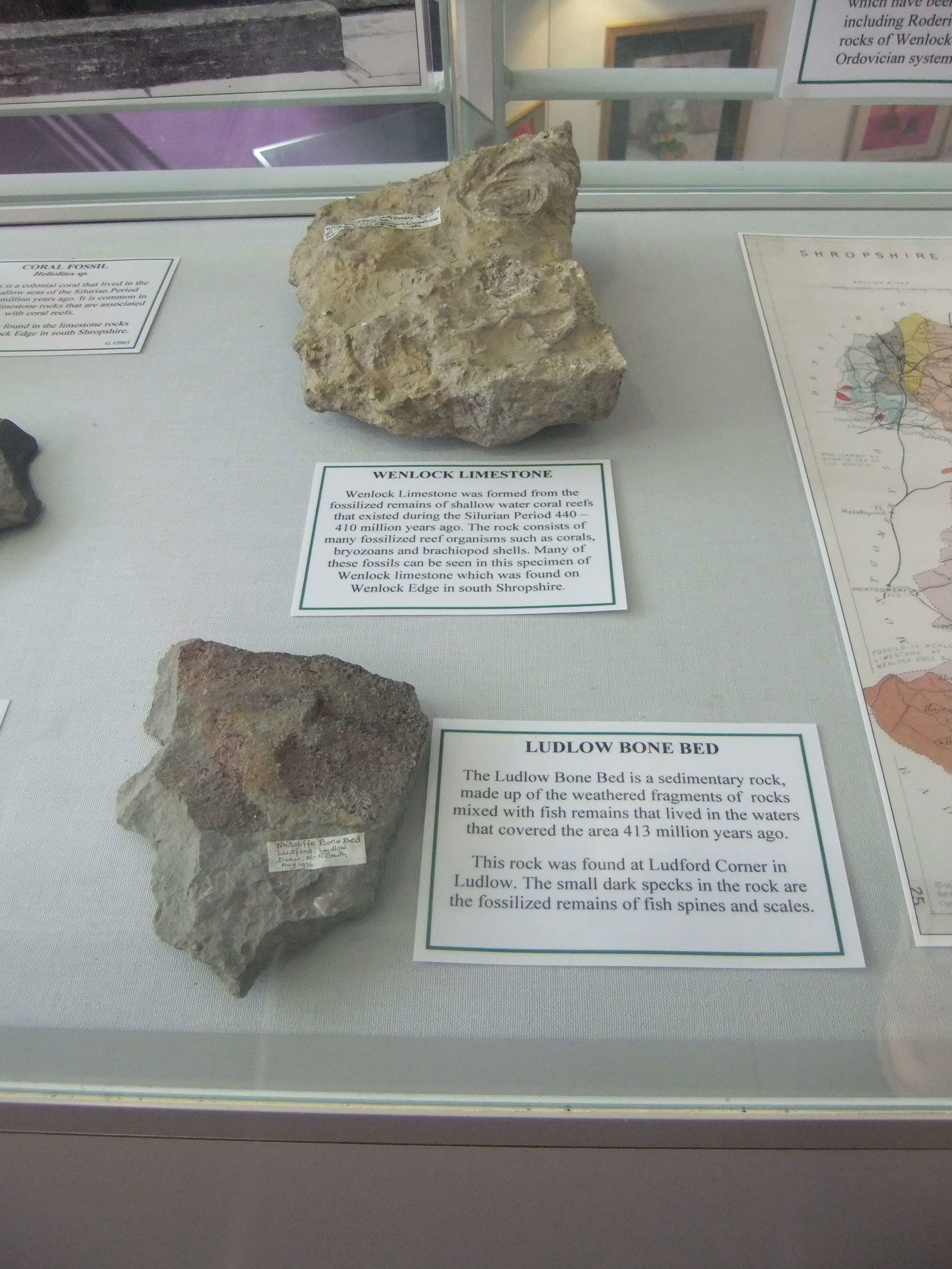 Ludlow Library and Museum Resource Centre