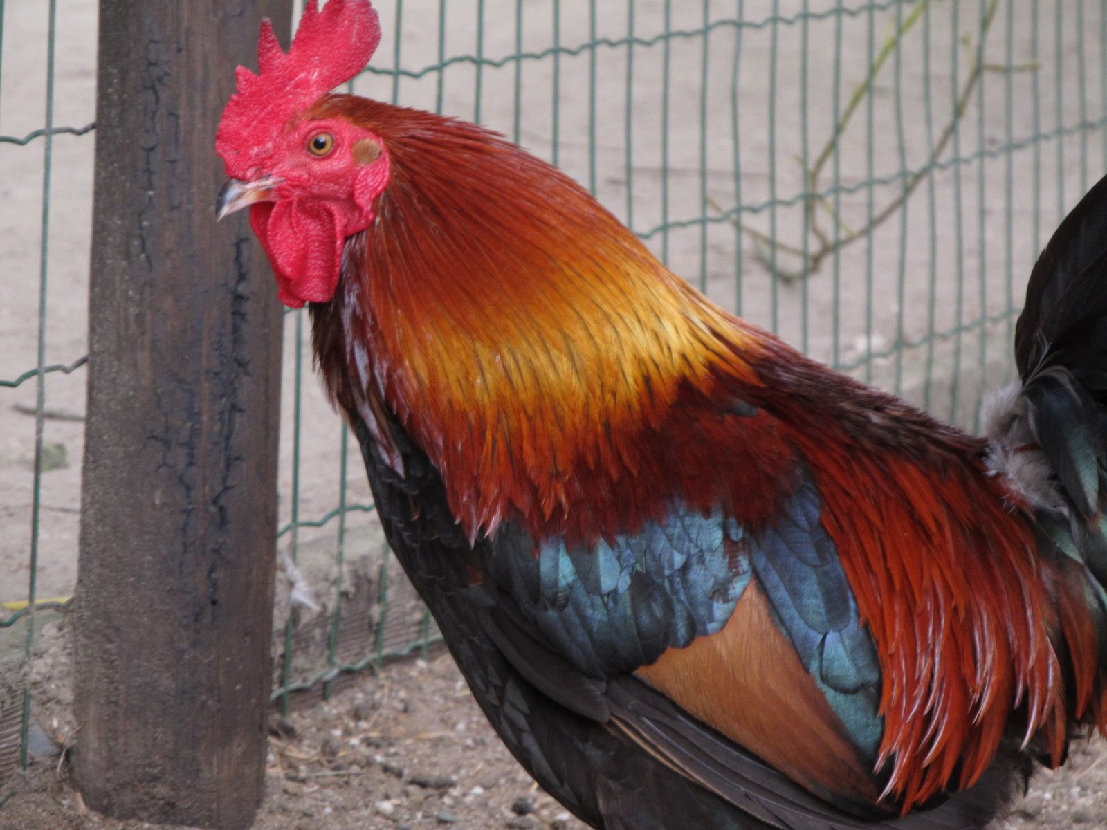 Familiepark Harry Malter