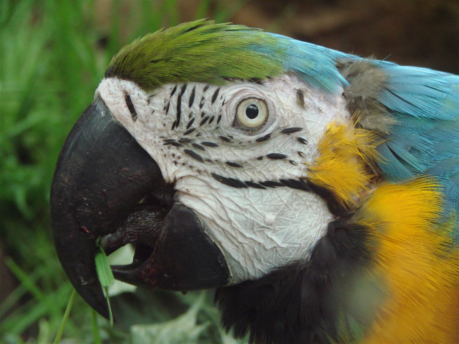 Wroclaw Zoo & Africarium