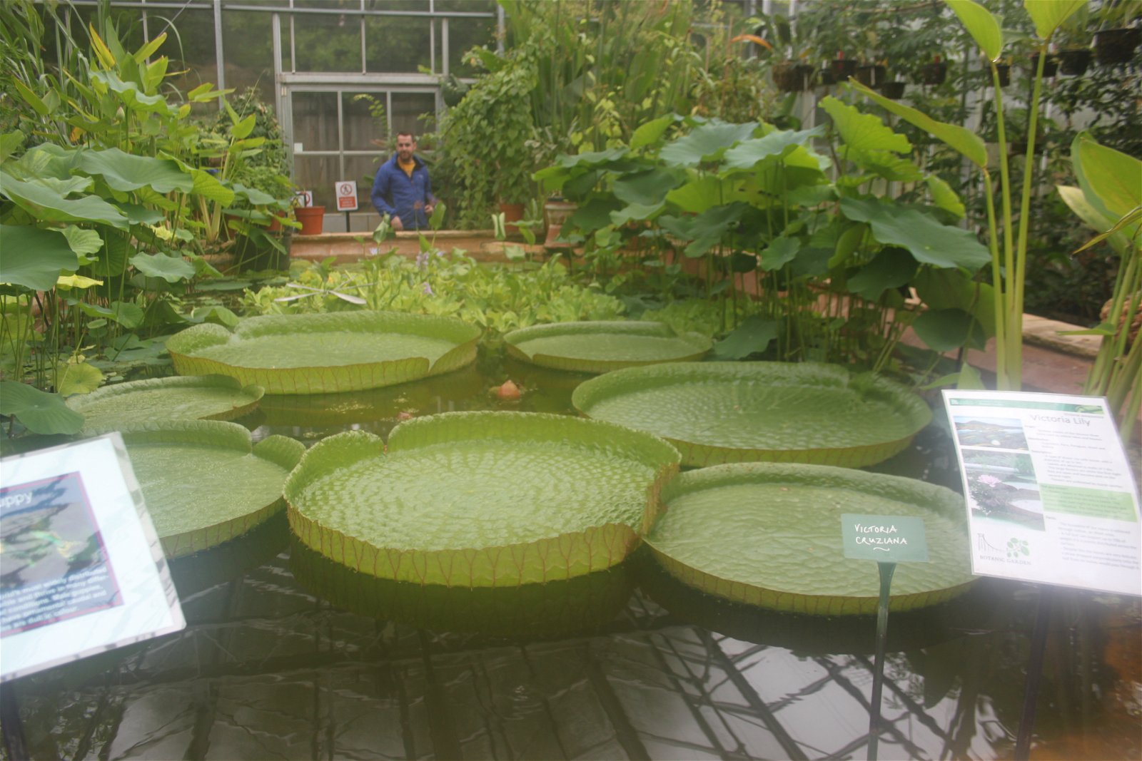 University of Bristol Botanic Garden