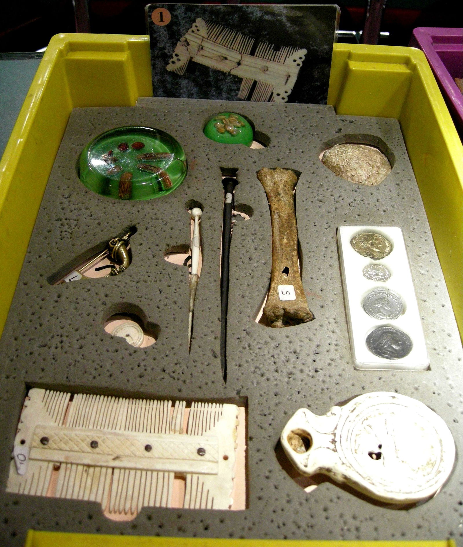 Canterbury Roman Museum