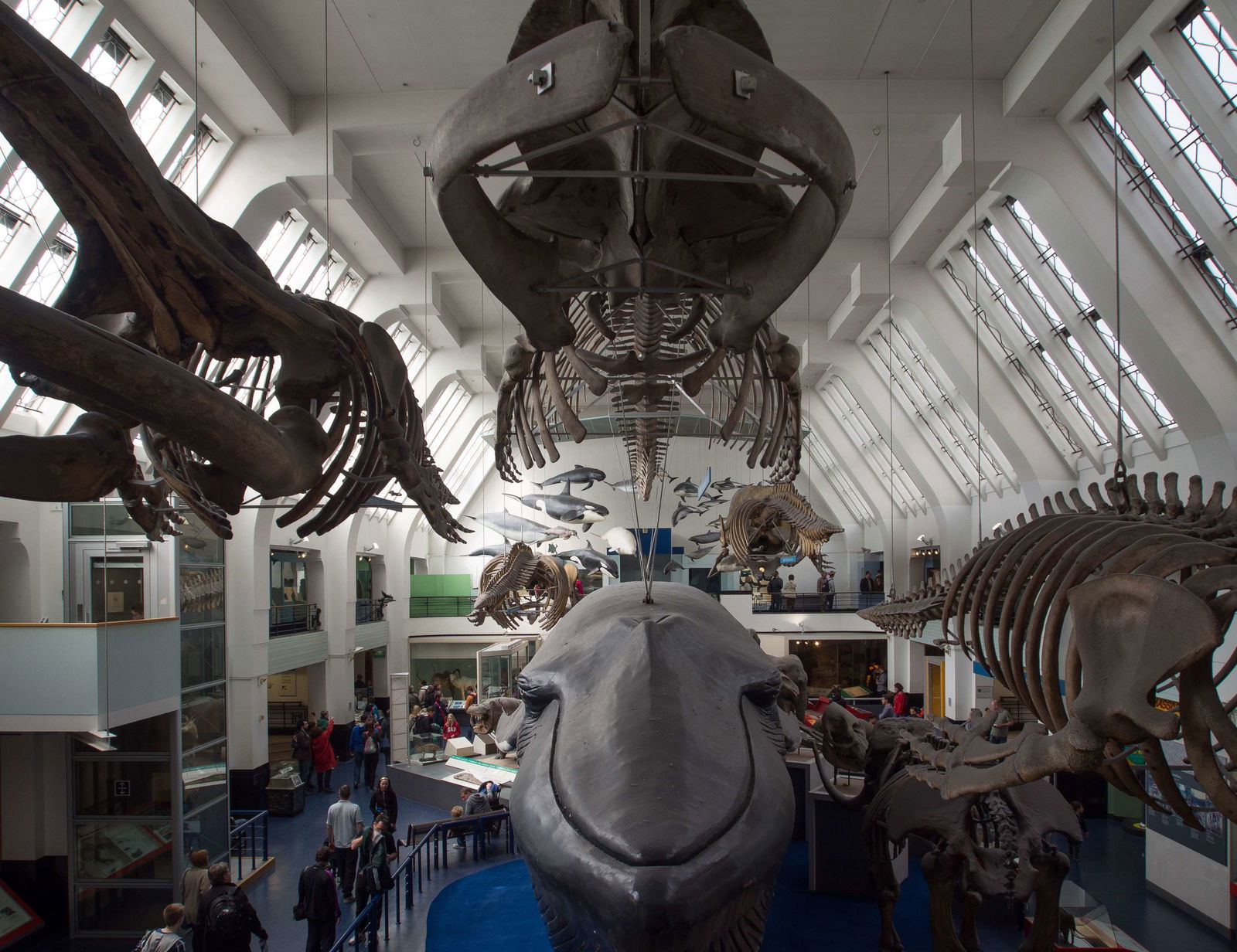 Natural History Museum