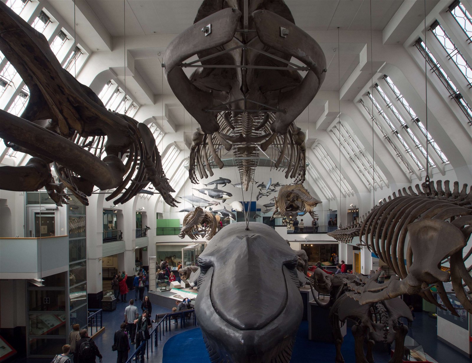 Natural History Museum