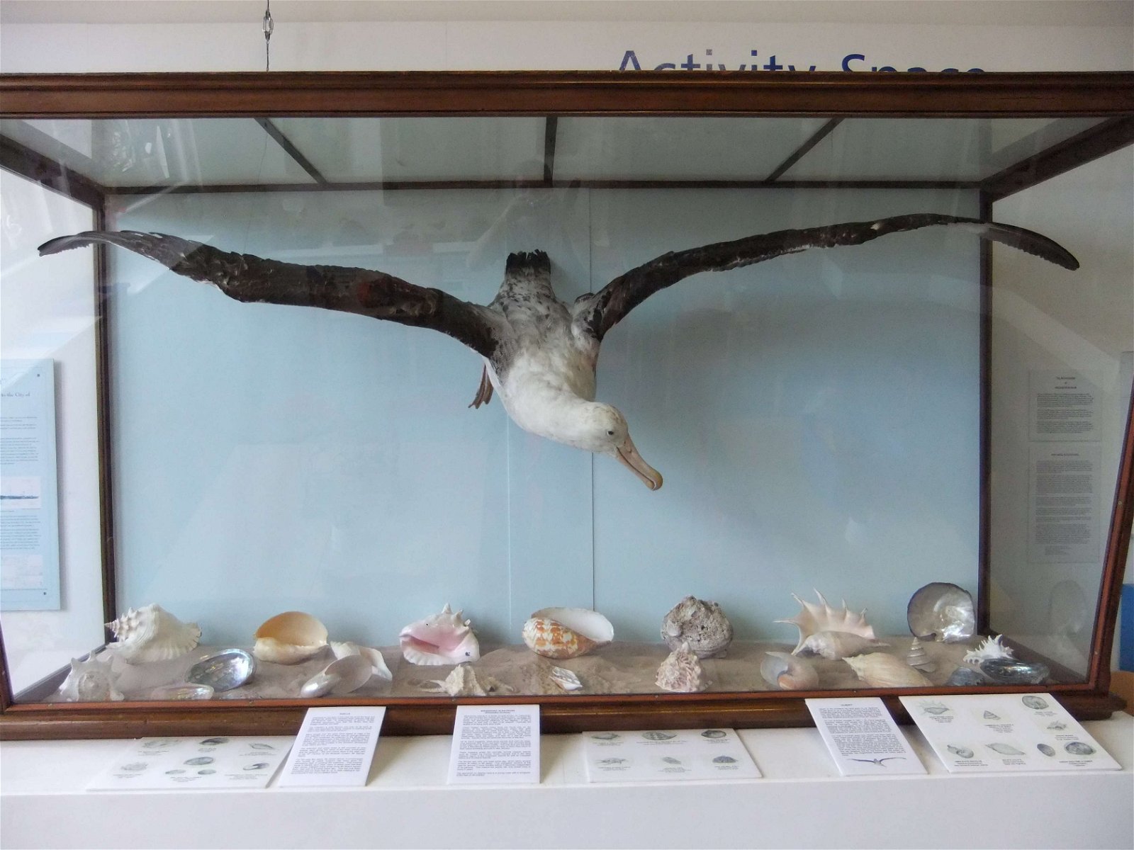 Worcester City Art Gallery and Museum