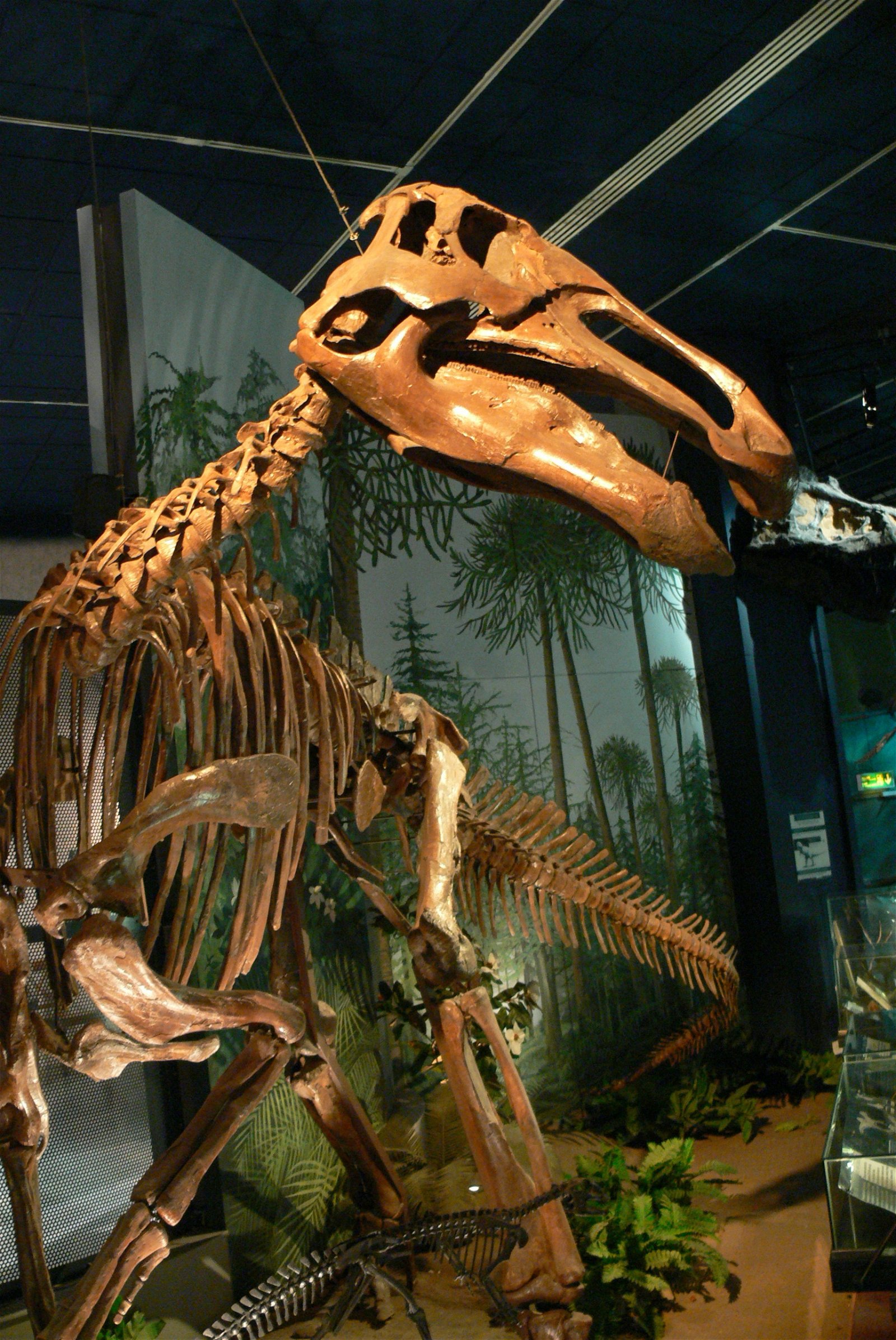 National Museum Cardiff