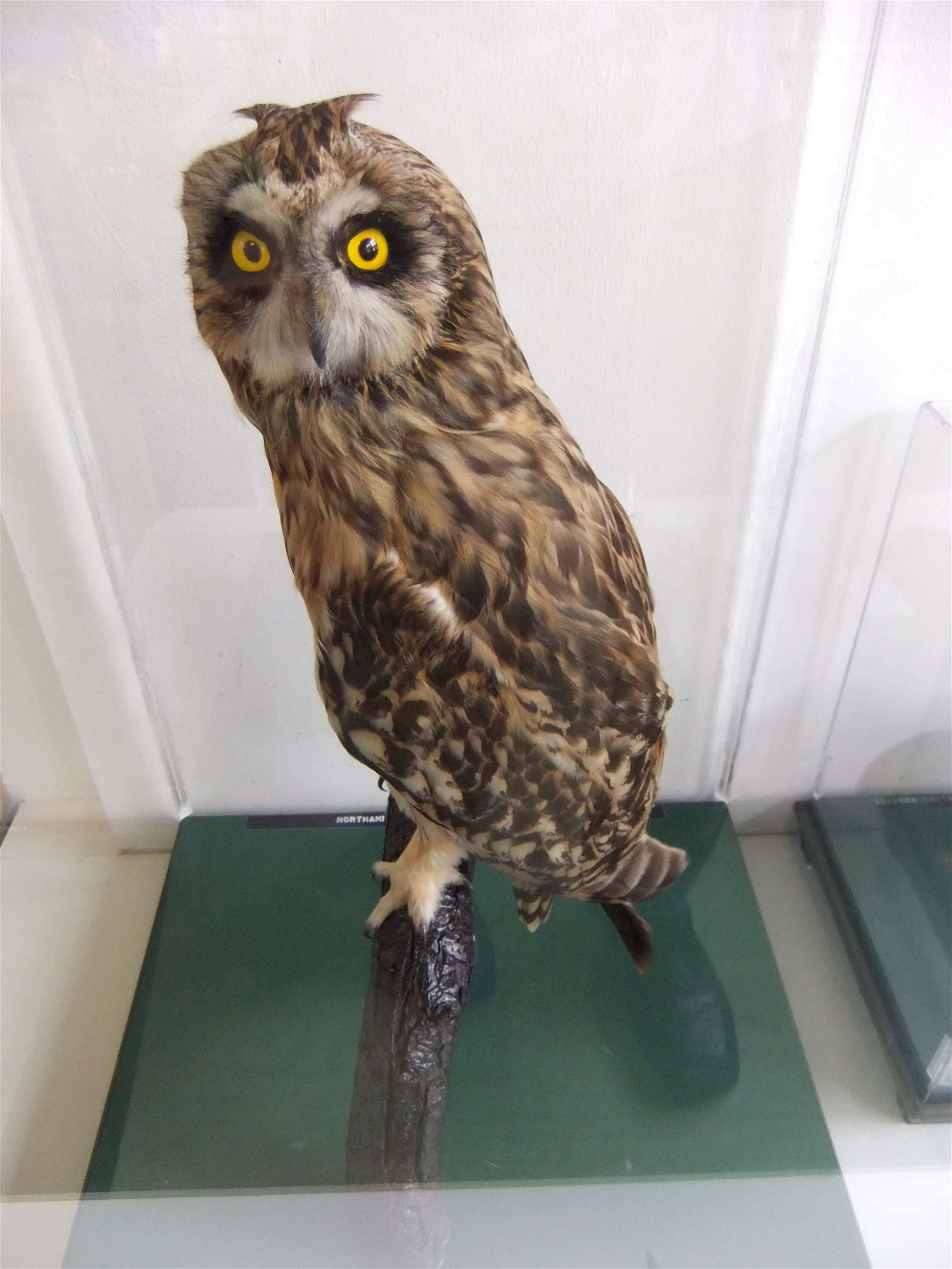 Worcester City Art Gallery and Museum