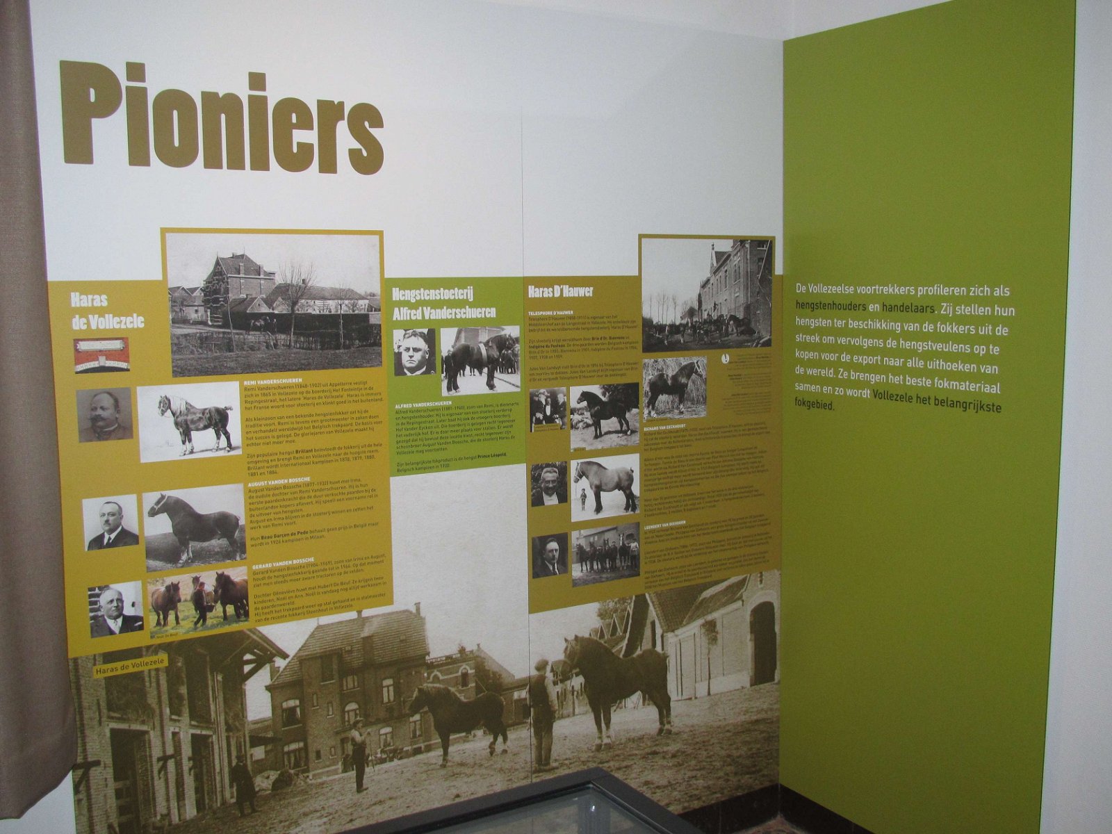 Museum van het Belgisch Trekpaard