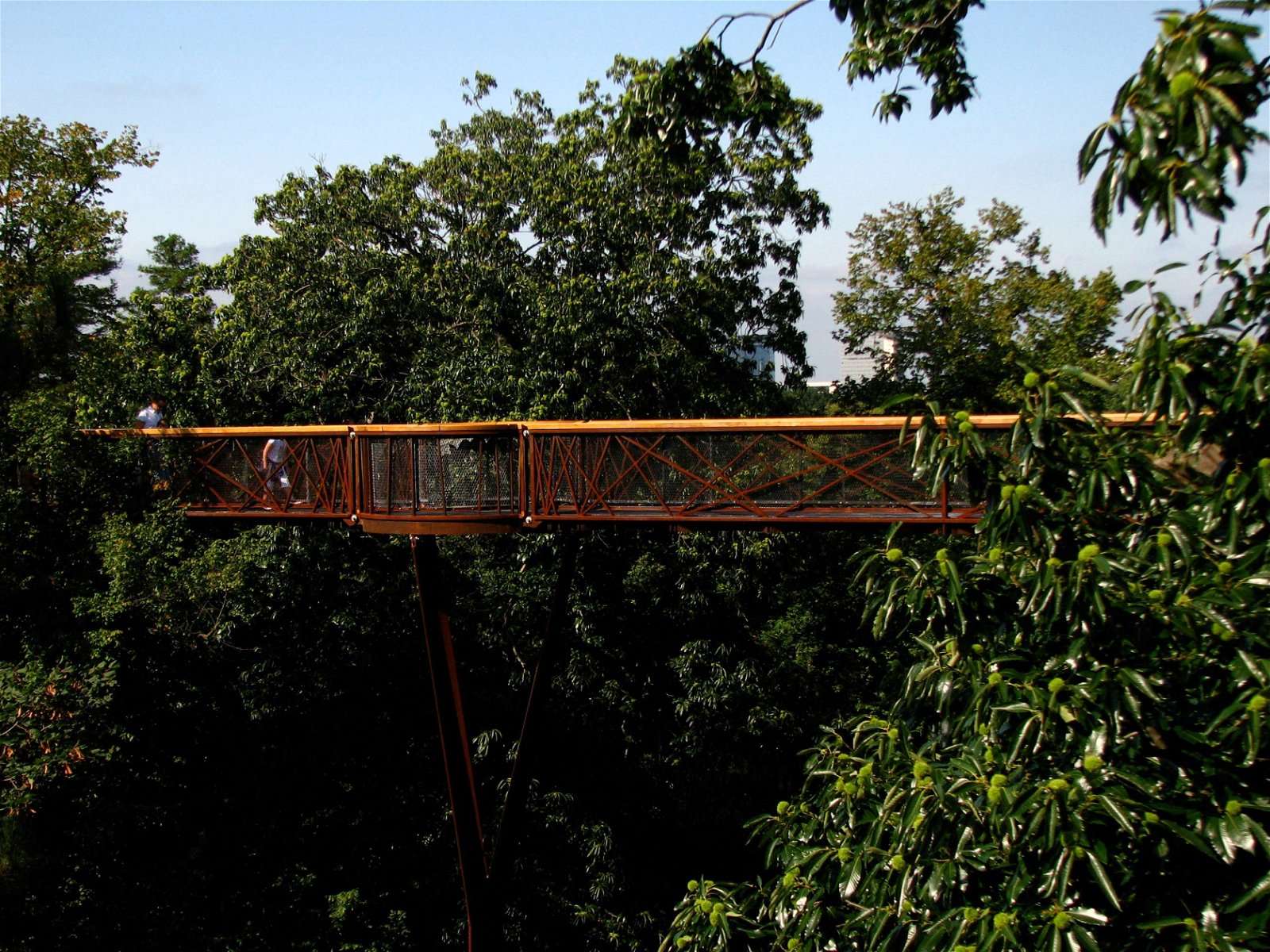 Royal Botanic Gardens, Kew